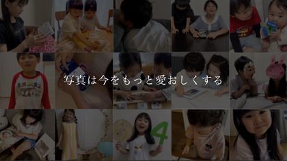 Biene の撮影写真