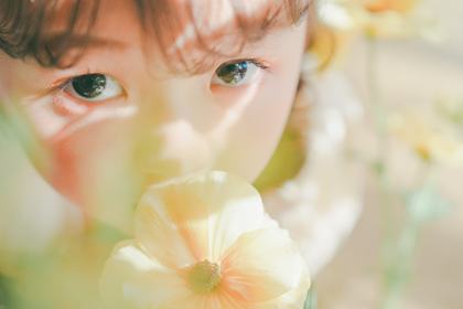 Biene の撮影写真