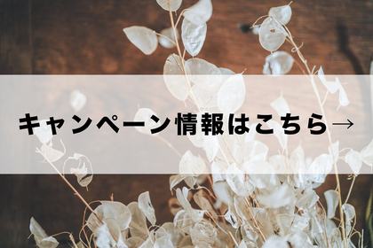 chorule の撮影写真