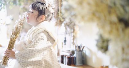 七五三衣装カタログ 女の子
